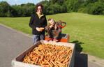 Nadja Adams und ihr Neffe Jakob freuen sich über eine hervorragende Möhrenernte.