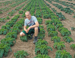 Betriebsnachfolger Tobias Ullrich will den hessischen Grünkohlanbau weiter verfolgen, denn es gibt Kunden, die die Frische und Regionalität schätzen.