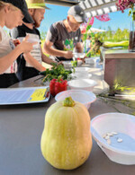 Zehn Kulturen mussten dem Saatgut zugeordnet werden.