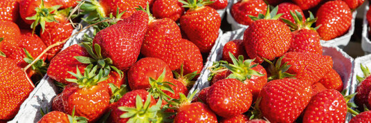 Erdbeeren