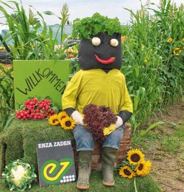 Zum neunten Mal lud Enza Zaden zum
gemeinsamen Feldtag mit BASF und
dem Dienstleistungszentrum Lndlicher
Raum (DLR) nach Schifferstadt ein.