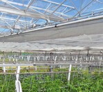 In einer Computersimulation
wurden vier Regelstrategien beim
Einsatz von transparenten Energieschirmen
untersucht.