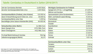 Gemüsebau in Deutschland in Zahlen (2016/2017)