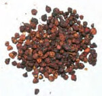 Schisandra-Beeren gelten als Gesundheitsbeeren
für ewige Jugend.