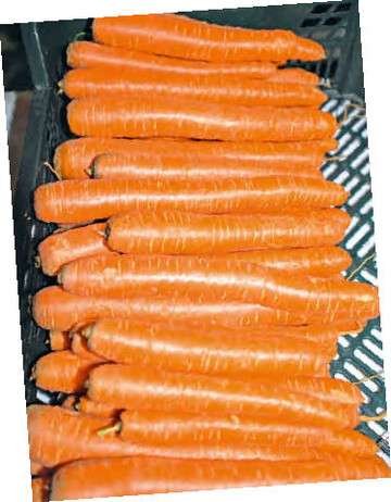 Zwei Tage lang drehte sich beim Mhrenforum alles um das
orange-gelbe Gemse.