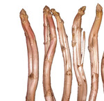 1 2009 zeichnete sich durch besondere Anfälligkeit für Qualitätsprobleme aus