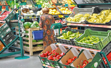 Ungarn lässt durch den relativ großen
Gemüse-Export-Anteil eine stattgefundene
Öffnung nach Westen erkennen.