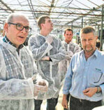 Fleming Pedersen (rechts) achtet nicht
nur bei der Energie auf eine günstige
Produktion; bei 3 Kronen (0,40 €) Erlös
pro Gurke erzielt er Gewinn.