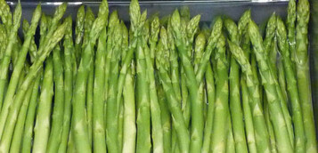 Bejo 2827 heit der frhe Grnspargel von Bejo.