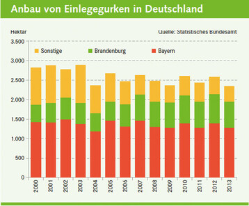 Anbau von Einlegegurken in Deutschland