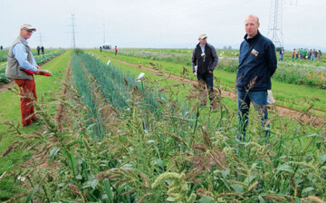 Klaus Khling (r.), BASF, zeigte in
der unbehandelten Kontrolle vorne
die maximale Unkrautflora, dahinter
Parzellen, in denen auch der Wirkstoff
Pendimethalin eingesetzt wurde.