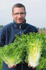 Thorsten Bauer mit den Endiviensalaten
‘Minelli’ (r.) für Verarbeiter und
‘Kassy’ (l.) eher für den Frischmarkt