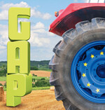 Titelthema: So sieht Greening in der Praxis aus