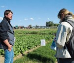 Dr. Sebastian Weinheimer erklärt, dass gängige Gründüngungsmischungen nicht immer in den Gemüsebau passen.