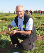 Verkaufsleiter Rudi Jock präsentierte das Radies ‘Helena’, F1, das auch unter feuchtwarmen Bedingungen uniforme Knollen mit aufrechter Laubhaltung ausbildet.