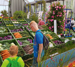 Fischer Gemüse, Erfurt, wurde auf der IGA Berlin 2017 mit hohen Auszeichnungen für ein vielfältiges Sortiment bedacht. Den im Schnitt sehr viel jüngeren Besuchern (50 statt zuvor 55 Jahre) ist Gemüse auch auf diese Weise nahezubringen.