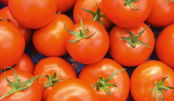 Gelingt es, Genistein aus Sojabohnen und Resveratrol aus Weinreben, in Tomaten anzureichern, sind vergleichsweise hohe Mengen sekundrer Inhaltsstoffe zu gewinnen.
