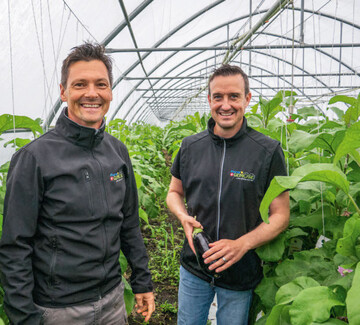 Thomas Hurni (l.) und sein Mitarbeiter Jonas Schwab starteten in diesem Frhling mit ihrer Selbstpflckanlage, hier im Folientunnel mit den Auberginen.