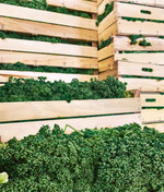 Preissteigerungen bei Gemüse werden alsFolge der „Farm-to-Fork“-Strategie erwartet.