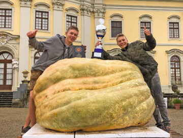 Krbis mit 789,5 kg