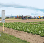 Der erstmalig im Norden veranstaltete Feldtag und Branchentreff Gemüsebau 2022 in Gülzow war eine Kombination aus Firmenausstellung, Technikschau und Demonstrationsversuchen.