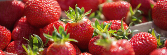 Die kleine Marktstudie: Erdbeeren
