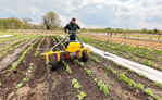 Der E-Weeder von Terrateck ist ein elektrischer Geräteträgertraktor für den Einsatz auf Gemüsebeeten. Er kann für verschiedene Arbeitsschritte im Anbau verwendet werden.