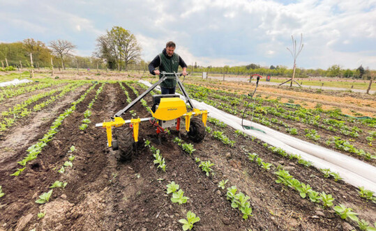 Der E-Weeder von Terrateck ist ein elektrischer Gertetrgertraktor fr den Einsatz auf Gemsebeeten. Er kann fr verschiedene Arbeitsschritte im Anbau verwendet werden.