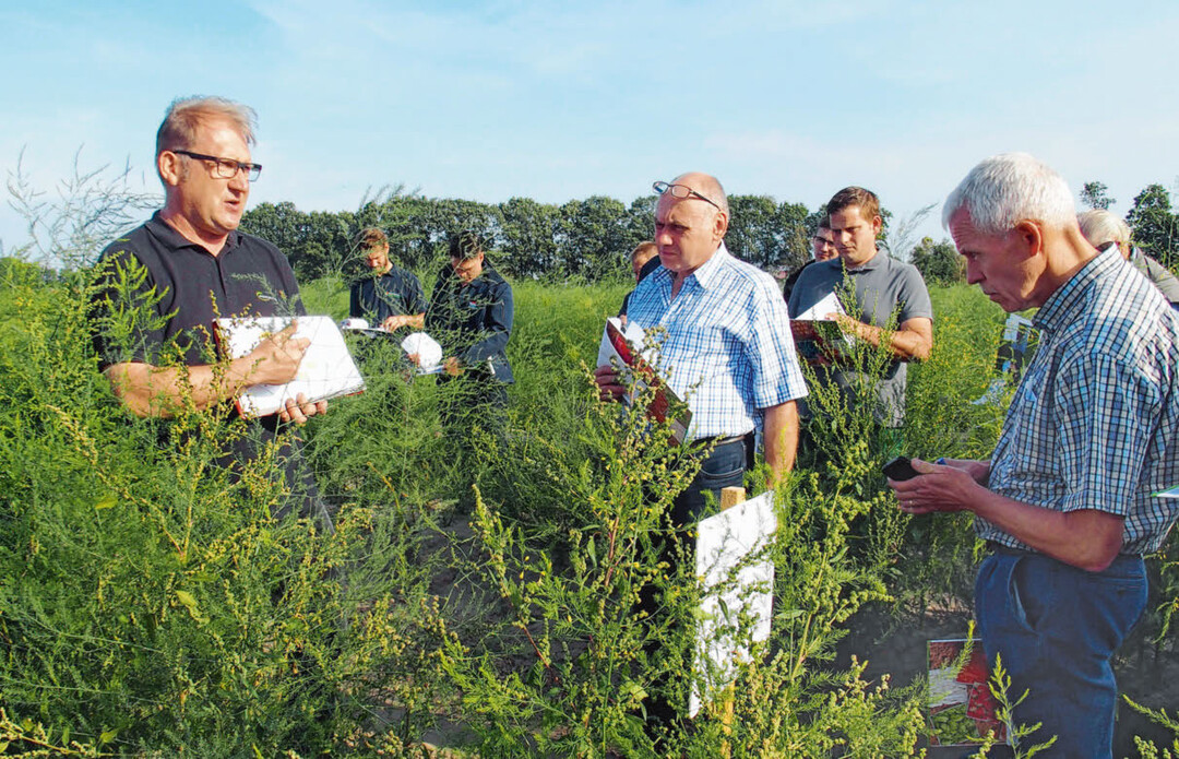 Frank Uwihs (l.) fhrte durch die Versuche am Agravis Spargelfeldtag in Pennigsehl.