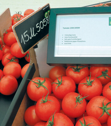 Die neue Tomatensorten von Enza eignet sich vor allem fr kleine Wochenmarktbetriebe.