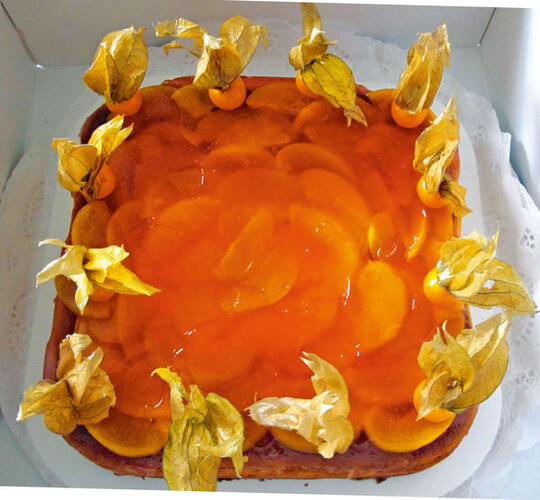 Die Andenbeere (Physalis peruviana L.) hat einen interessanten
Geschmack und eignet sich zur Dekoration
von Gerichten und Gebck, als Kuchenbelag und auch
in Kombination mit Fleisch oder Kse.