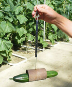 2 Probewiegen sichert objektiv gleichmäßige
Ernteware unabhängig vom
aktuellen Stadium des Bestandes.