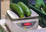 3 Welche Zucchini muss dazugelegt
werden, um 1,5 kg zu erreichen?