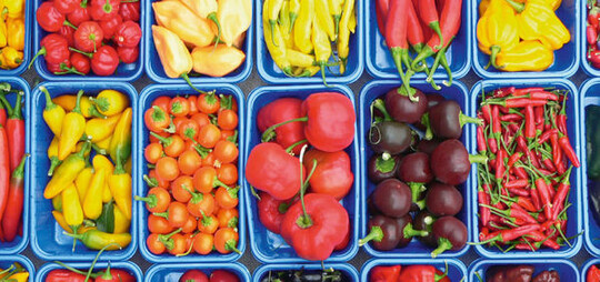 Abbildung 1: Optimal ist eine sortenreine
Vermarktung in Schlchen am
besten noch mit Infos zur Sorte und
Schrfe.