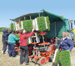 Ein großer Jungpflanzen-Vorrat auf der Maschine verbessert die Effektivität. Es
ist ein Ziel von Checchi & Magli dies bei Pflanzmaschinen zu realisieren.