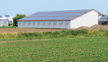 Diese neue Zwiebellagerhalle (r.)
komplettiert jetzt das Unternehmen
APH/OGZ in Lampertheim.
