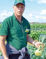 Rudi Jock mit Kohlrabi ‘Littorio’, einer
„extrem guten Frühjahrssorte“