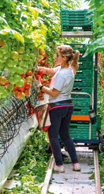 Ab 1. Januar 2018 gibt es wichtige Änderungen beim Lohn und Meldeverfahren für Saison-Arbeitskräfte zu beachten.