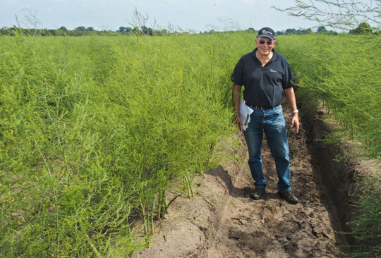 Klaus Stephan erläuterte den für die Agravis durchgeführten Herbizidversuch und gab Entwarnung: Auch die erst 13 Tage nach Stechende durchgeführten Herbizidbehandlungen brachten gute Ergebnisse.