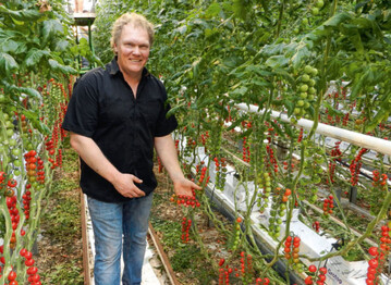 Bert van den Brand setzt auf die ganzjhrige Kultur nur einer besonderen, wohlschmeckenden Tomatensorte und hat damit seine Nische gefunden.