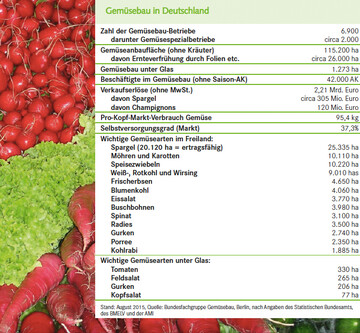 Gemüsebau in Deutschland