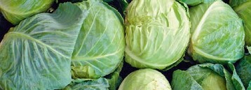 Weikohl