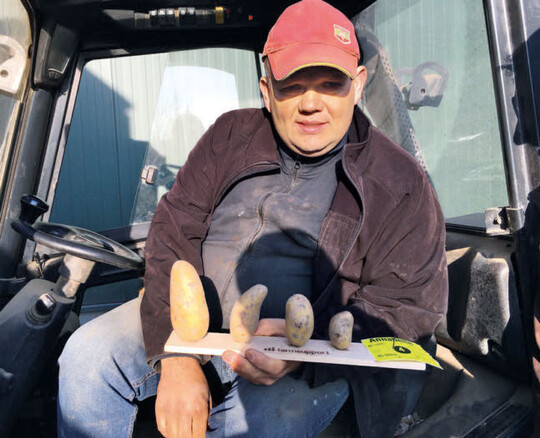 Welchen Pflanzabstand whle ich fr dieses Pflanzgut? 