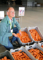 Nunhems Möhrenzüchter Robert Oostveen lässt Journalisten eine Auswahl von Möhren bewerten.