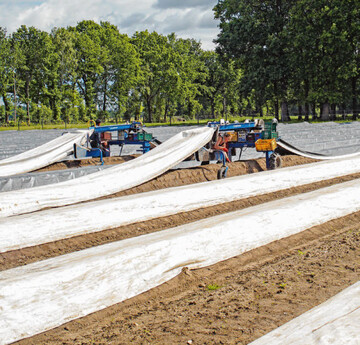 Die Spargelproduktion erfordert viele Arbeitsstunden und einen hohen Einsatz weiterer Produktionsfaktoren. Die Wirtschaftlichkeit sollte stndig hinterfragt werden. 