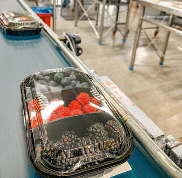 Arbeitsintensive Kulturen wie Heidelbeeren, Himbeeren oder auch Einlegegurken und Champignons verteuern sich mit dem Mindestlohnanstieg in der Produktion sprunghaft.