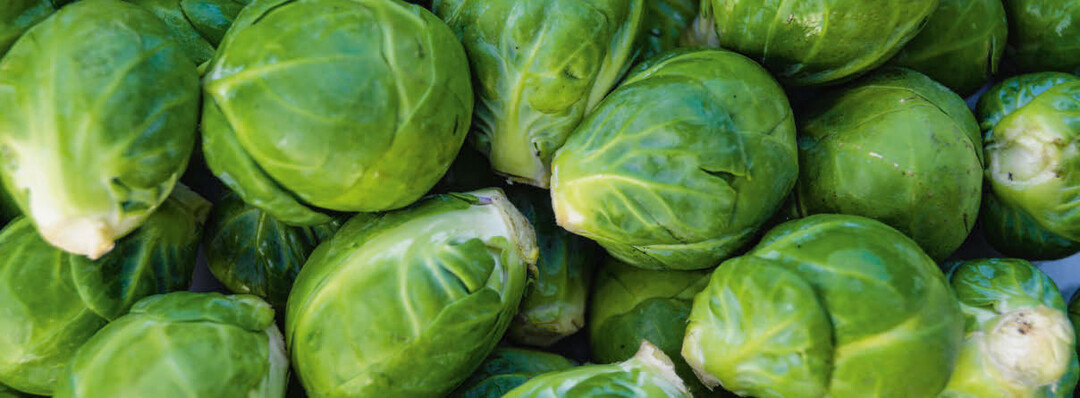 Rosenkohl