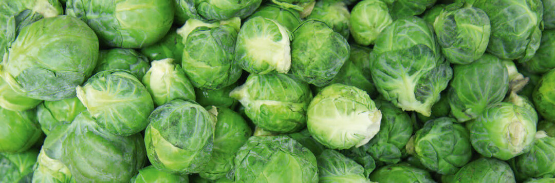 Rosenkohl