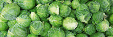 Rosenkohl