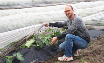 Patrick Schwienheer kultiviert Gemse fr den Bio-Grohandel, unter anderem Zucchini auf Dmmen unter Folie.